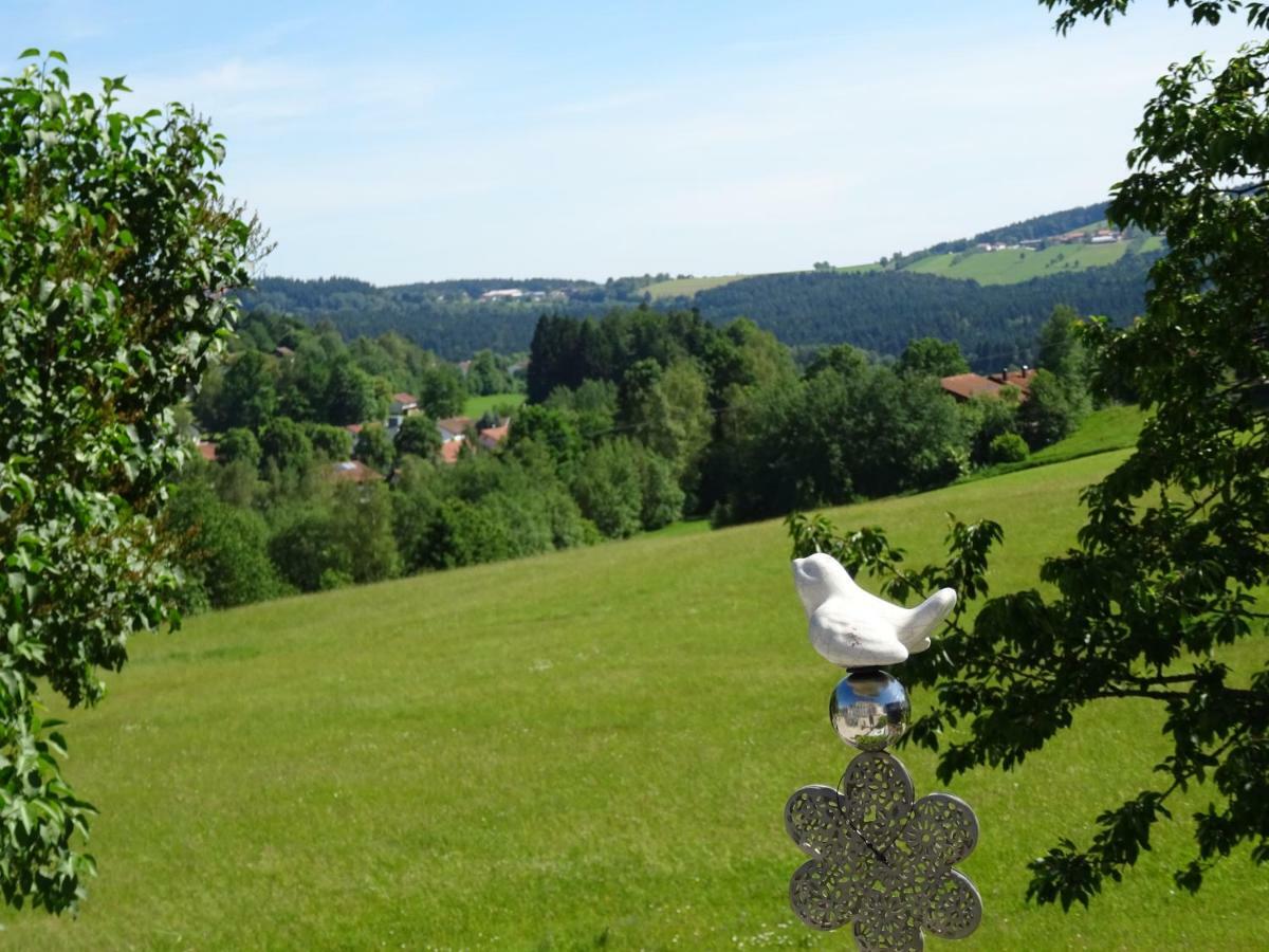 Fewo Gabi Neuschönau Esterno foto